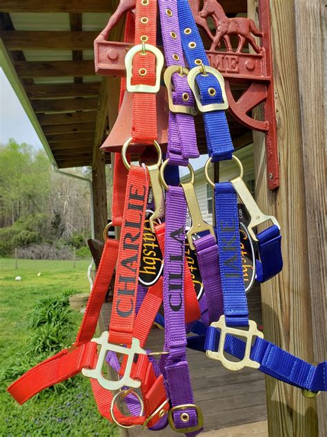 custom horse halter with name.